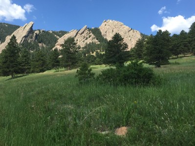 Meadow and flatirons